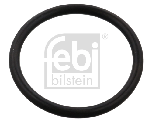 Seal Ring, coolant hose